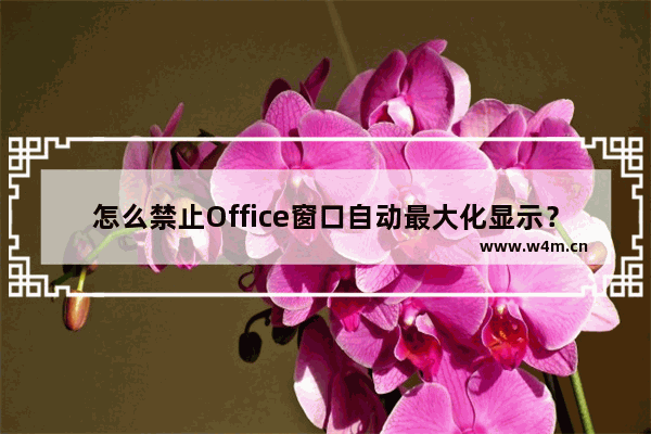 怎么禁止Office窗口自动最大化显示？