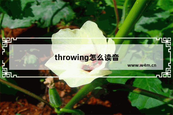 throwing怎么读音