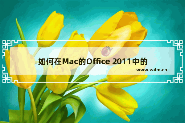 如何在Mac的Office 2011中的Word或PowerPoint中制作图表