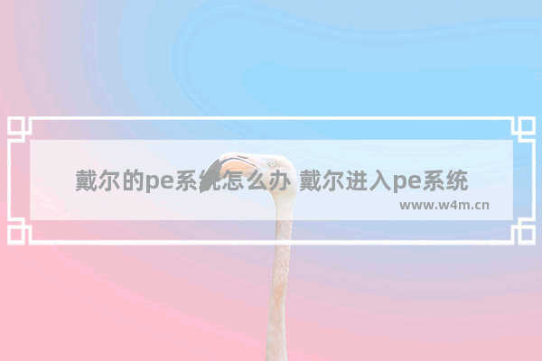 戴尔的pe系统怎么办 戴尔进入pe系统