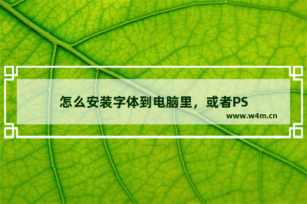 怎么安装字体到电脑里，或者PS