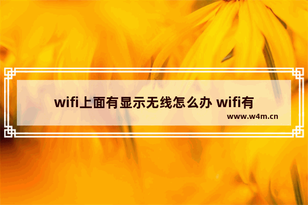 wifi上面有显示无线怎么办 wifi有标志但是没有网怎么回事