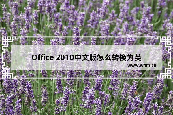 Office 2010中文版怎么转换为英文版?