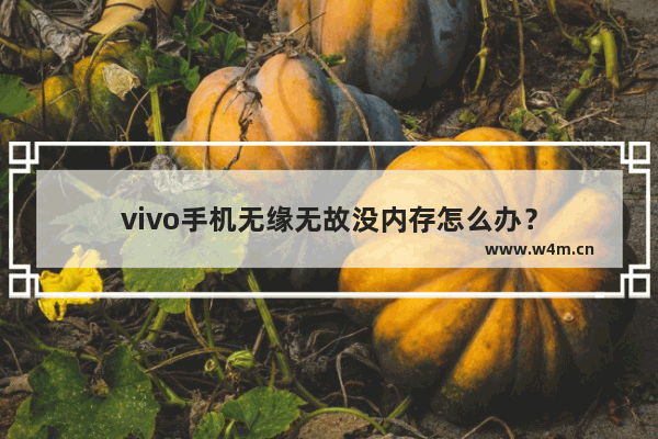 vivo手机无缘无故没内存怎么办？