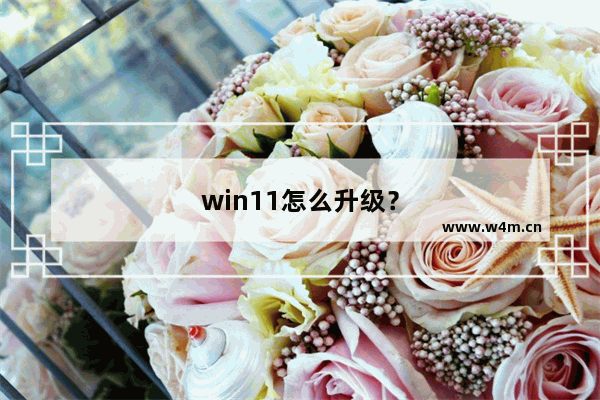 win11怎么升级？