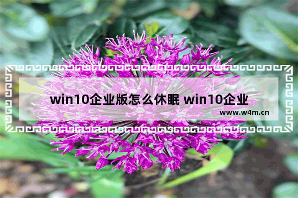 win10企业版怎么休眠 win10企业版怎么用