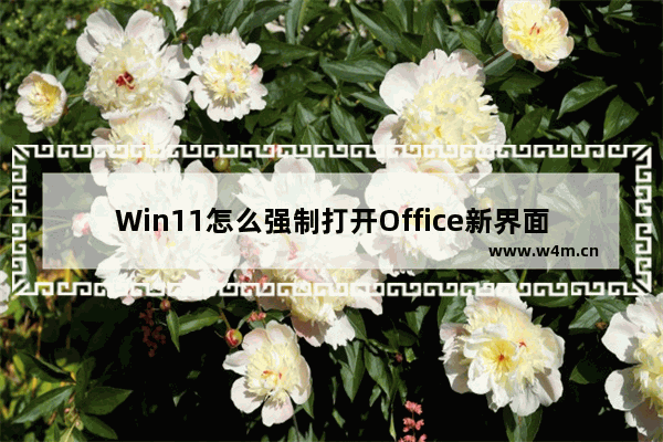 Win11怎么强制打开Office新界面?Win11强制打开Office新界面的方法