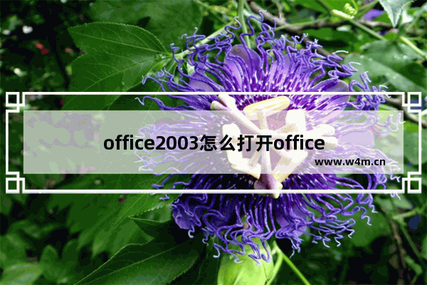 office2003怎么打开office2007