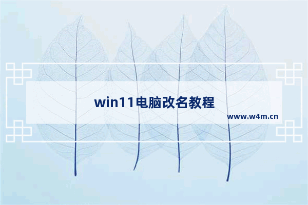 win11电脑改名教程