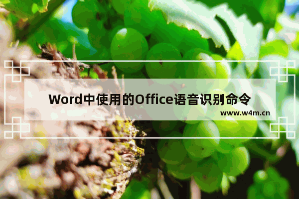 Word中使用的Office语音识别命令