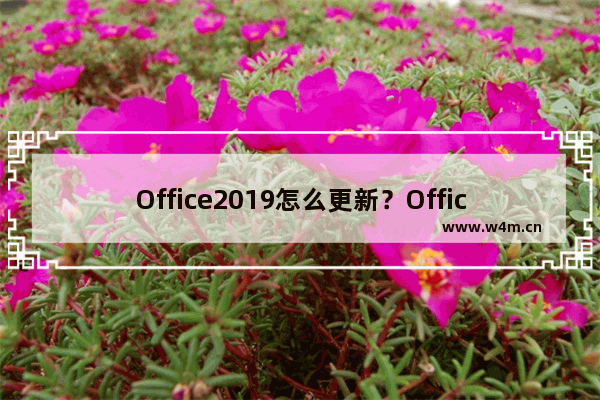 Office2019怎么更新？Office2019更新方法简述