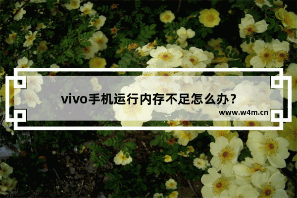 vivo手机运行内存不足怎么办？