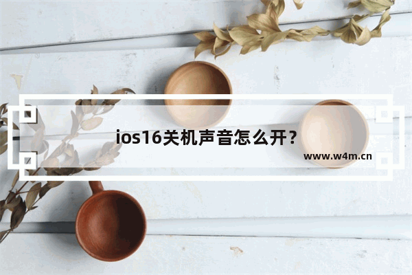 ios16关机声音怎么开？