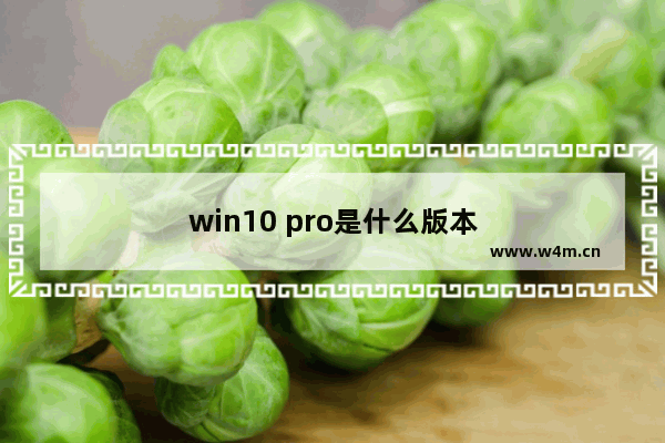 win10 pro是什么版本