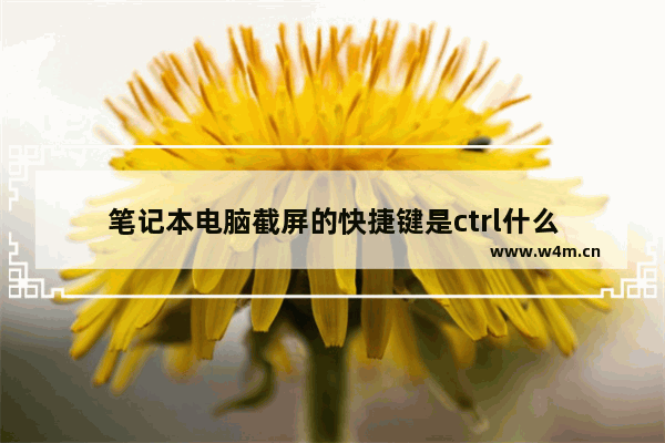 笔记本电脑截屏的快捷键是ctrl什么