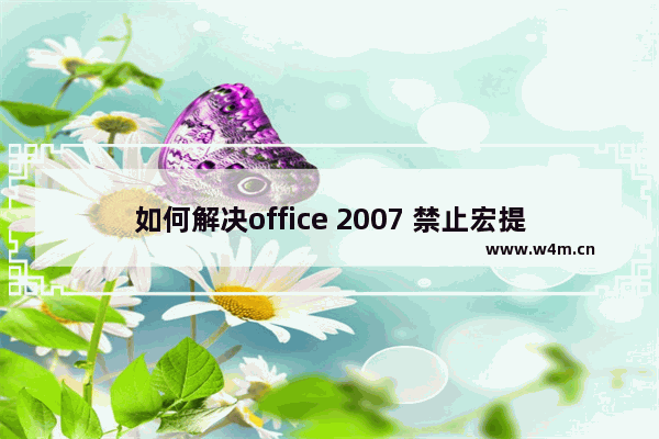 如何解决office 2007 禁止宏提示“宏已被禁用”的问题