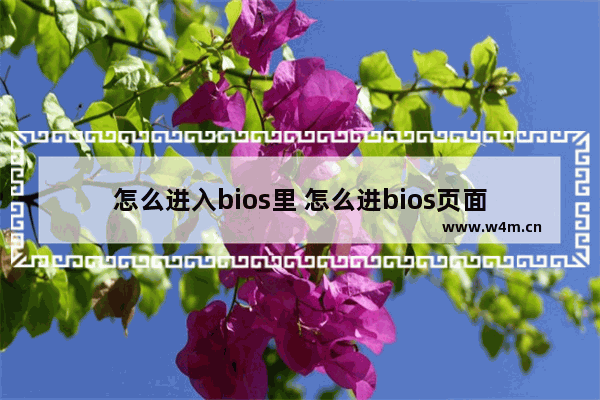 怎么进入bios里 怎么进bios页面