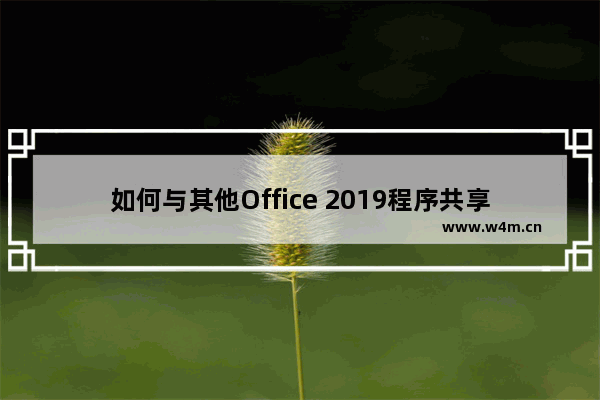 如何与其他Office 2019程序共享数据