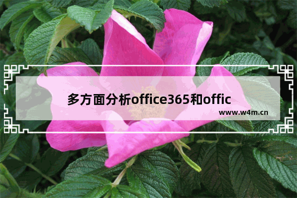 多方面分析office365和office2016有何区别