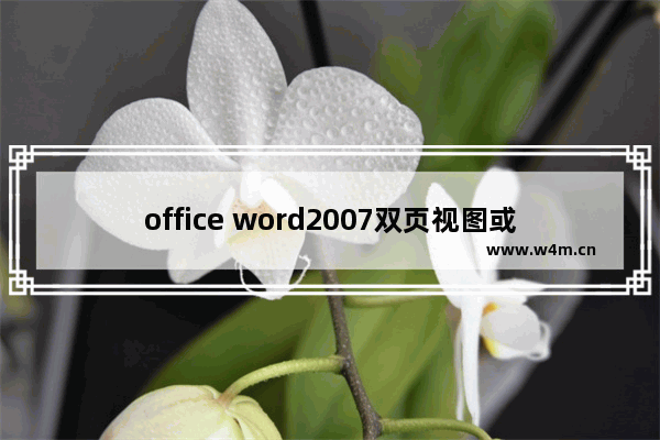 office word2007双页视图或者页面如何设置?