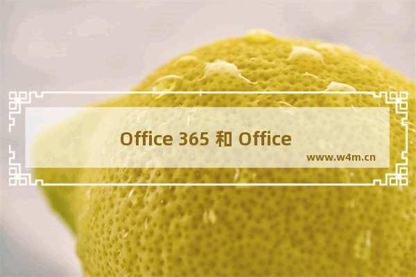 Office 365 和 Office 2019 之间有什么区别？