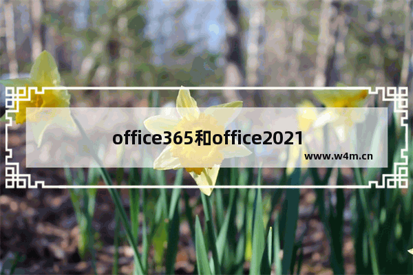 office365和office2021有什么区别-office365和office2021区别介绍