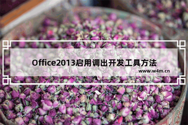 Office2013启用调出开发工具方法