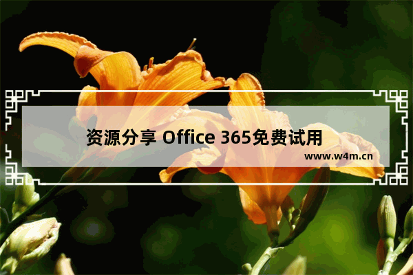 资源分享 Office 365免费试用 1 个月入口