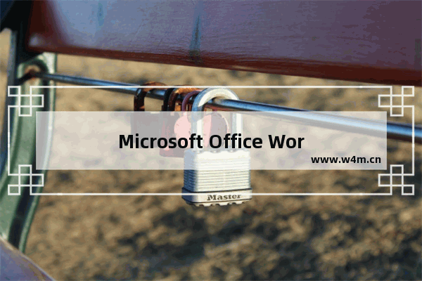 Microsoft Office Word 已停止工作