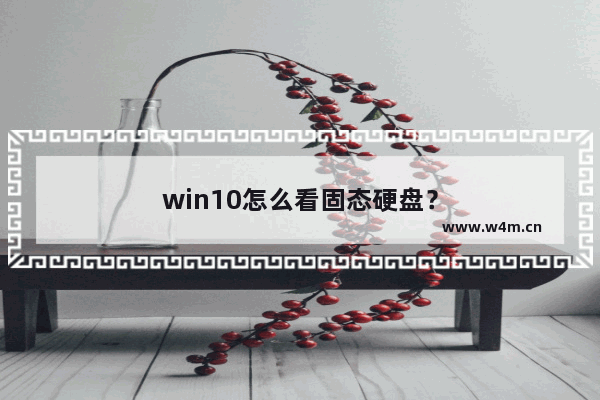 win10怎么看固态硬盘？