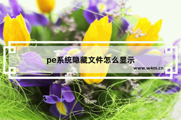 pe系统隐藏文件怎么显示