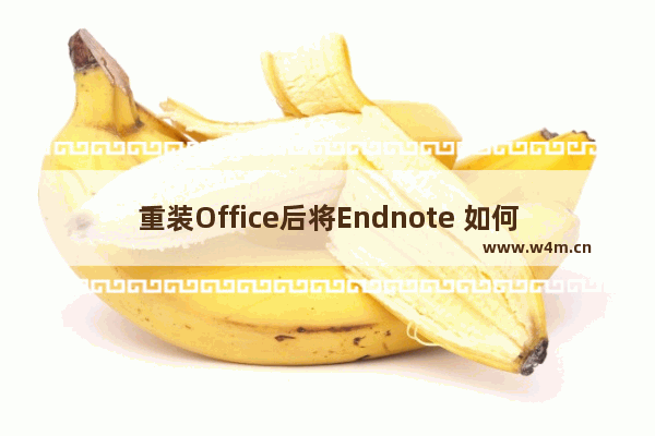 重装Office后将Endnote 如何与Word重新关联