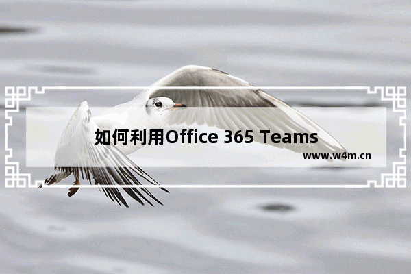 如何利用Office 365 Teams进行完整的在线会议生命周期管理