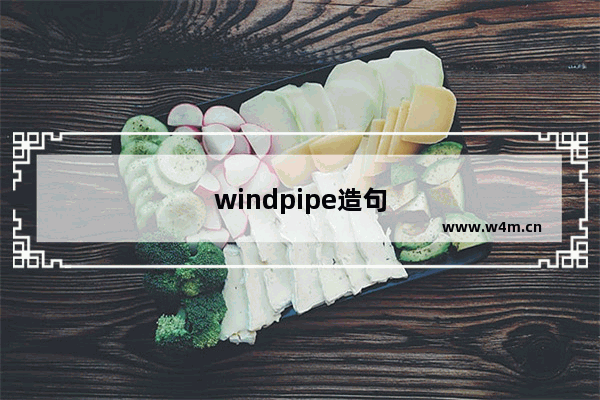 windpipe造句