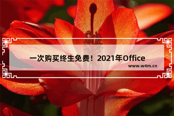 一次购买终生免费！2021年Office新独立版本将重磅推出