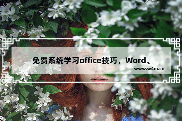 免费系统学习office技巧，Word、Excel、PPT的使用