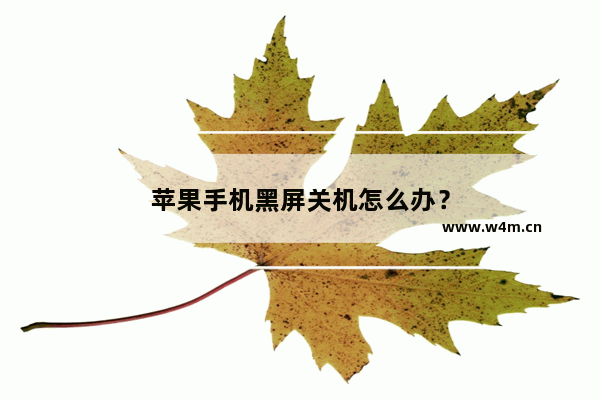 苹果手机黑屏关机怎么办？