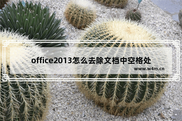 office2013怎么去除文档中空格处的点？