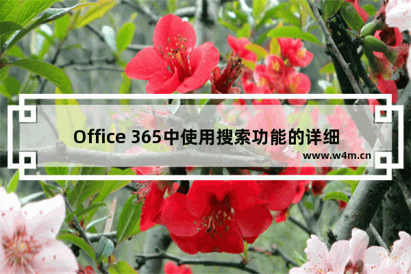 Office 365中使用搜索功能的详细步骤