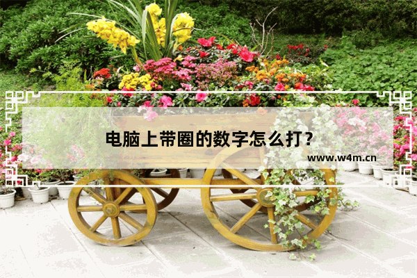 电脑上带圈的数字怎么打？