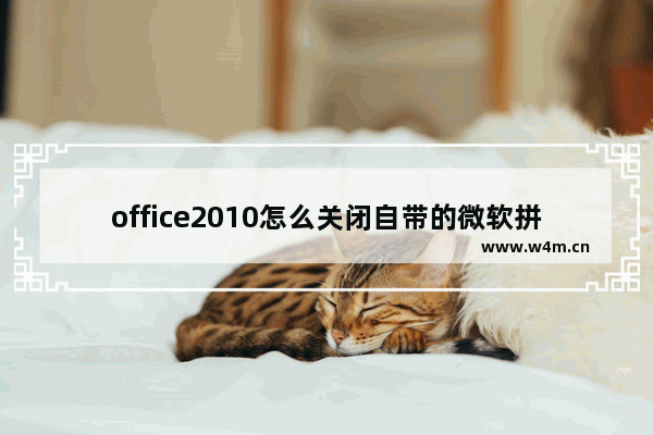 office2010怎么关闭自带的微软拼音输入法？