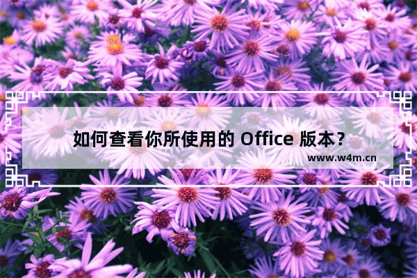 如何查看你所使用的 Office 版本？