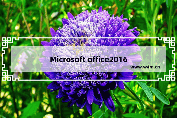 Microsoft office2016进行更新的详细操作