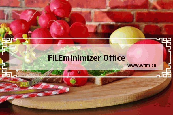 FILEminimizer Office压缩Office文档的基础操作