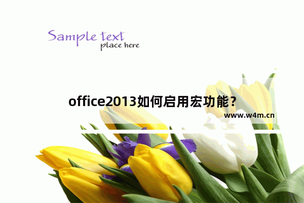 office2013如何启用宏功能？