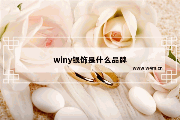 winy银饰是什么品牌