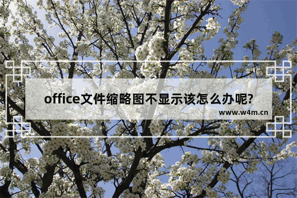 office文件缩略图不显示该怎么办呢?