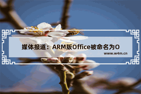 媒体报道：ARM版Office被命名为Office 2013 RT