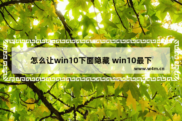 怎么让win10下面隐藏 win10最下面怎么隐藏