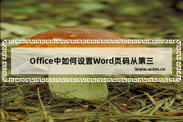 Office中如何设置Word页码从第三页开始或任意页开始？